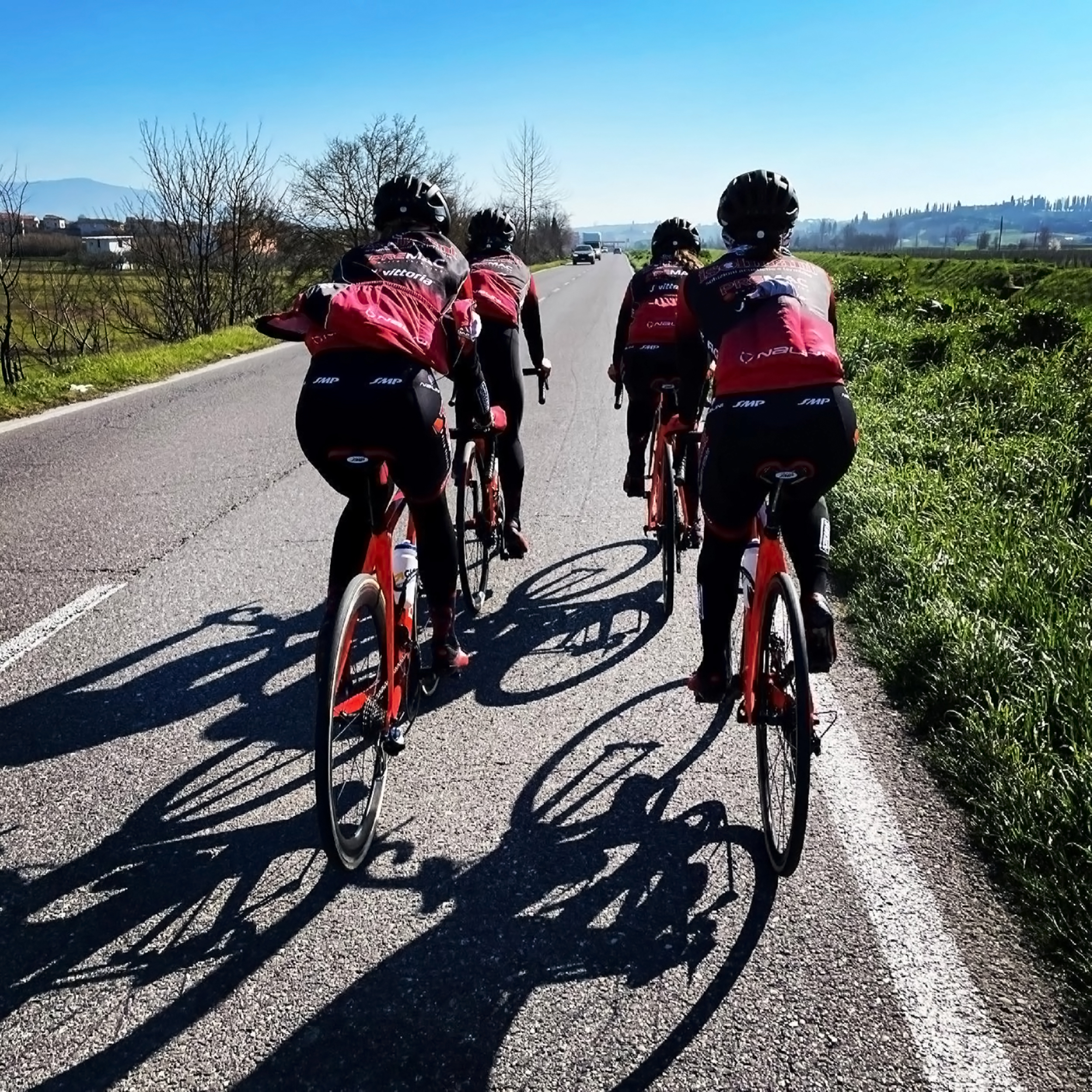 Struttura Organizzativa